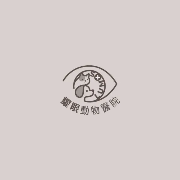 角膜皮樣瘤