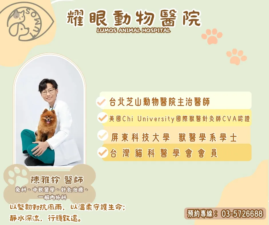好消息！兔兔家長 & 毛孩爸媽注意！
