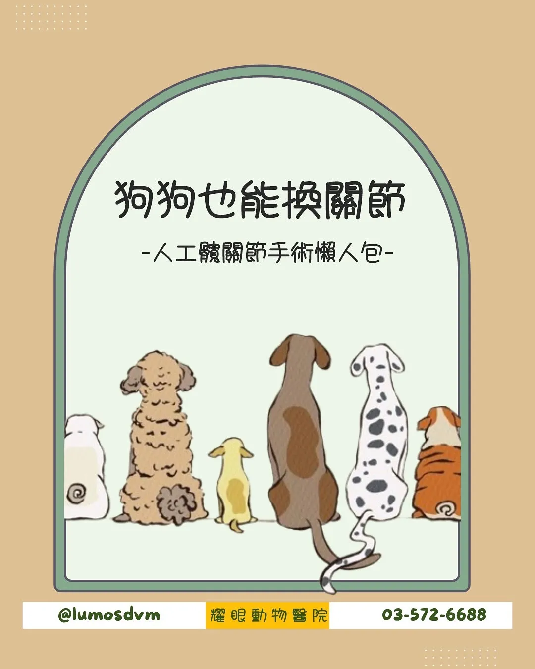 【狗狗走路搖屁股、怕上下樓？可能是髖關節出了問題！】