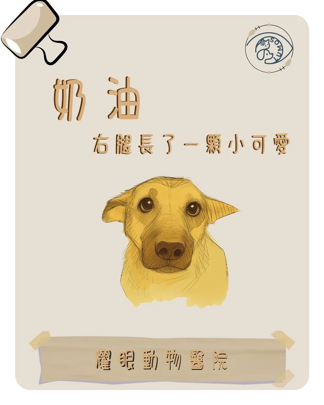 【奶油的故事｜右後腳的小腫塊】
