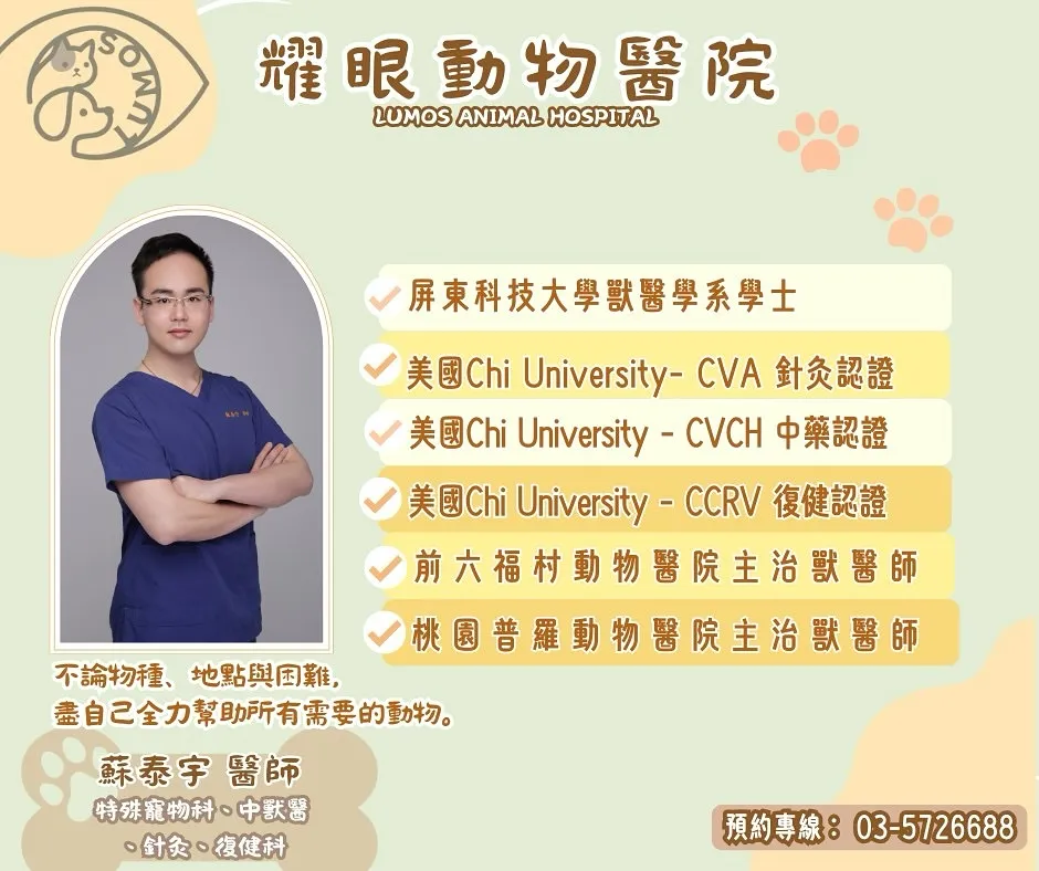好消息！新力量加入耀眼動物醫院