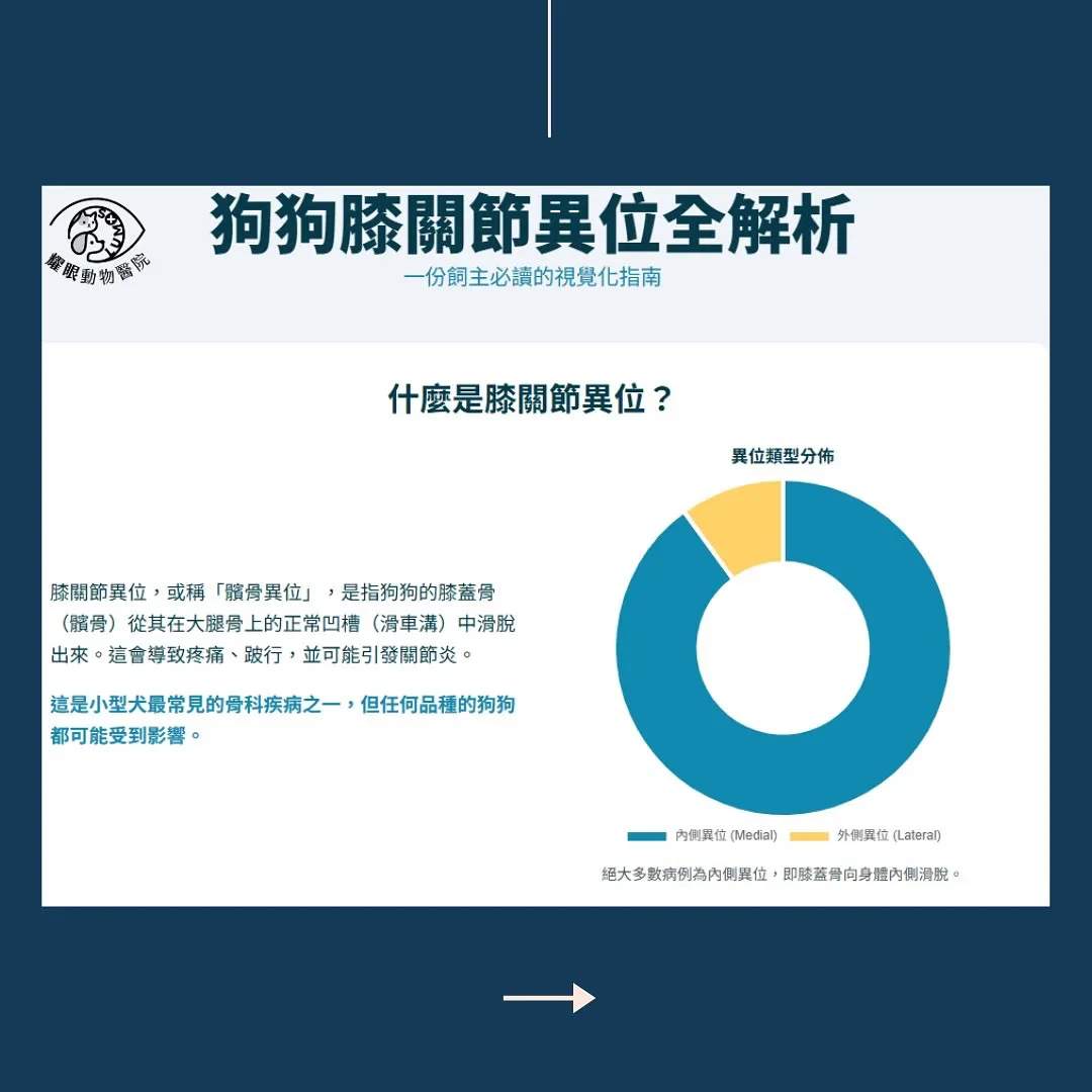 狗狗膝關節異位全解析來了！