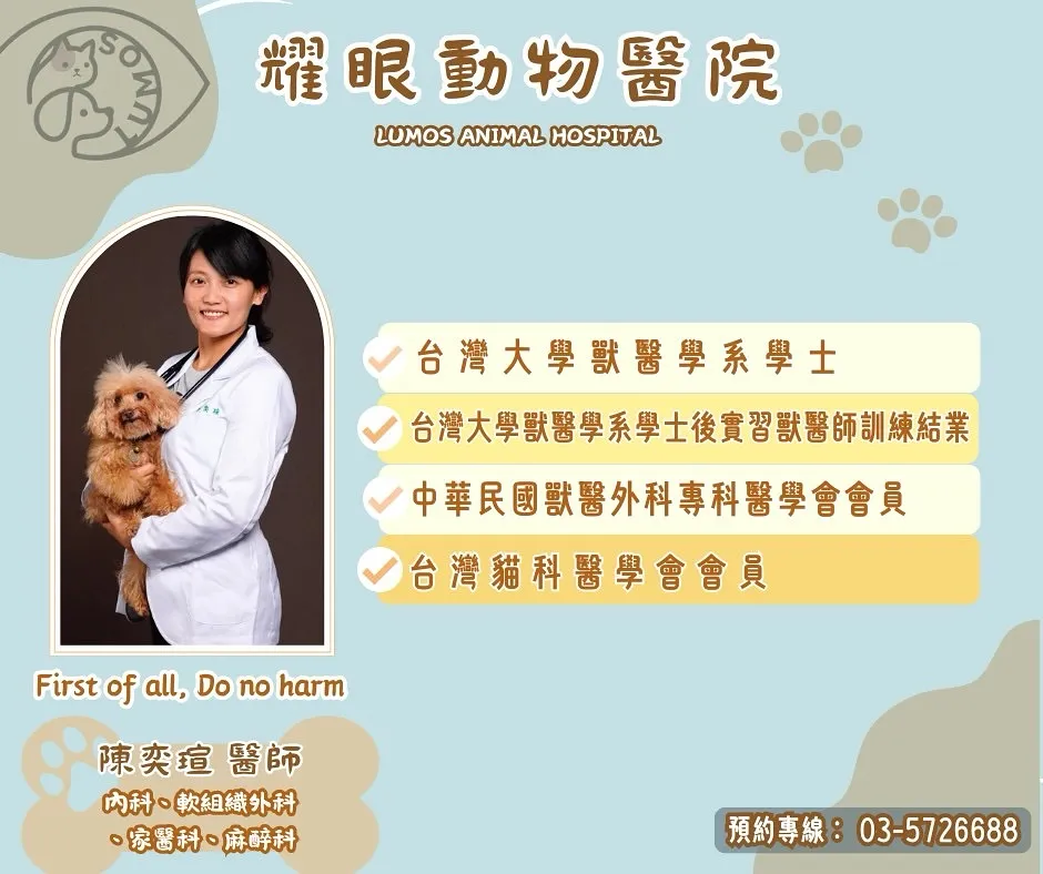 【好消息！新力軍加入耀眼動物醫院】