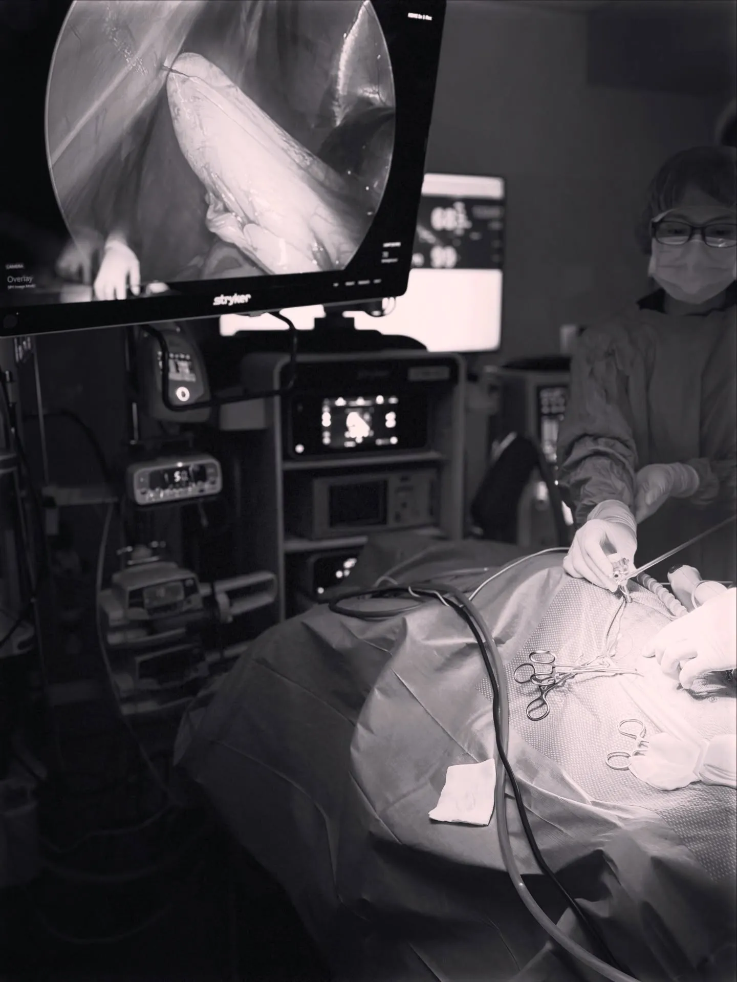 狗狗隱形殺手：胃扭轉（GDV）| 新竹動物手術 | 新竹動物醫院 | 新竹寵物手術 | 新竹動物醫院推薦