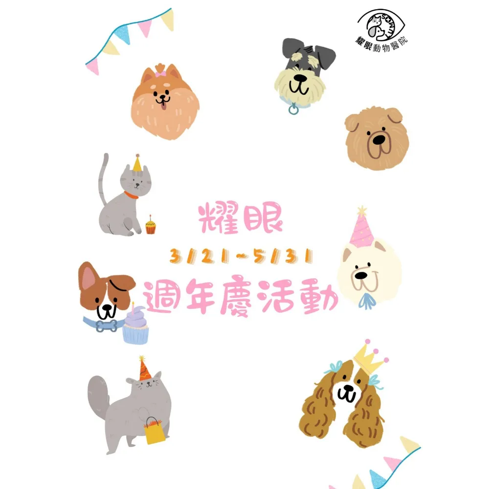 【週年慶限定—毛小孩牙齒健康大升級】