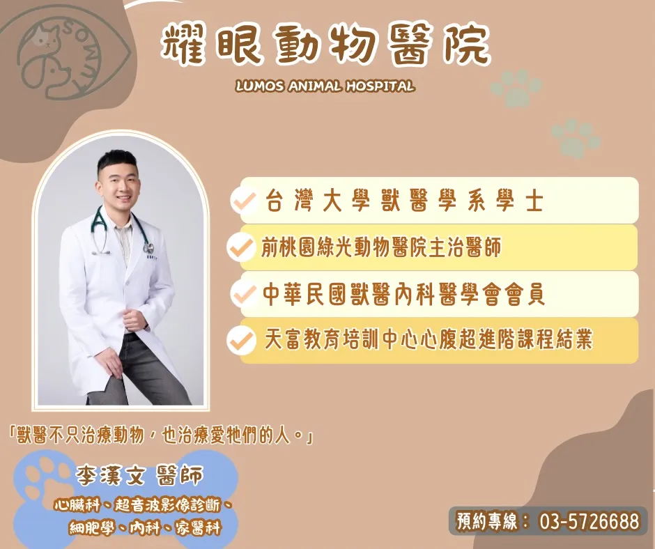 歡迎我們的「心」力軍加入耀眼團隊