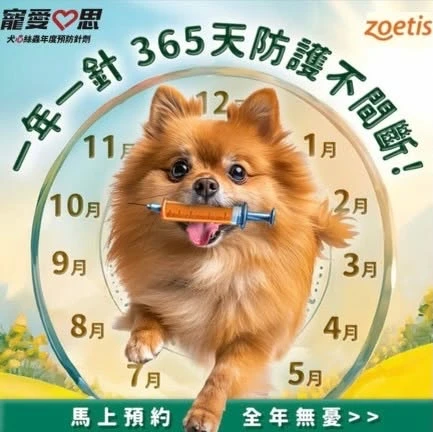 寵愛心思｜一年一次 全年放心