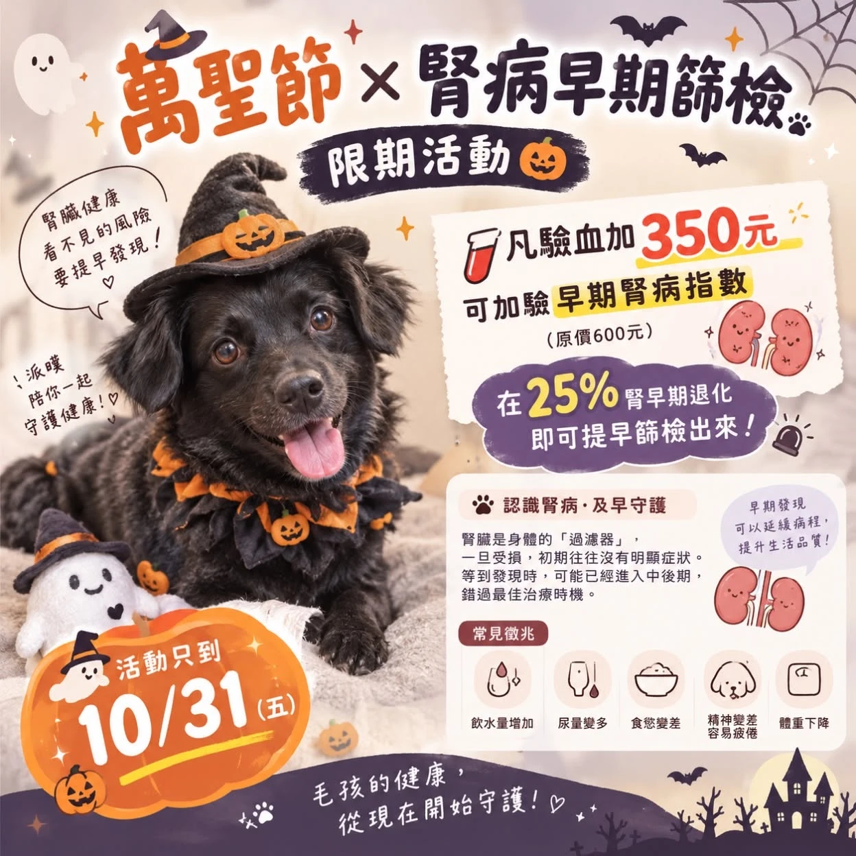 萬聖節限定｜毛孩腎臟健康早期篩檢！