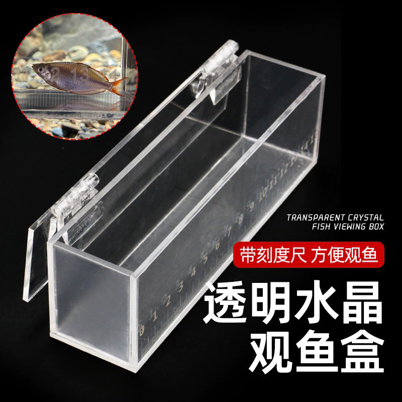 【LUREER】高透壓克力 觀察盒 觀魚盒 15公分 馬口 溪流 微物 路亞 小物 溪哥