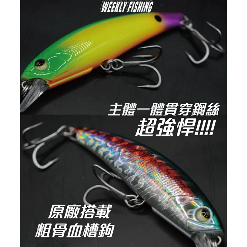 【LUREER】 WEEKLY 戰 FISHING 傻眼米諾 25.8克 <一體貫穿> 12公分 魚虎 路亞 米諾