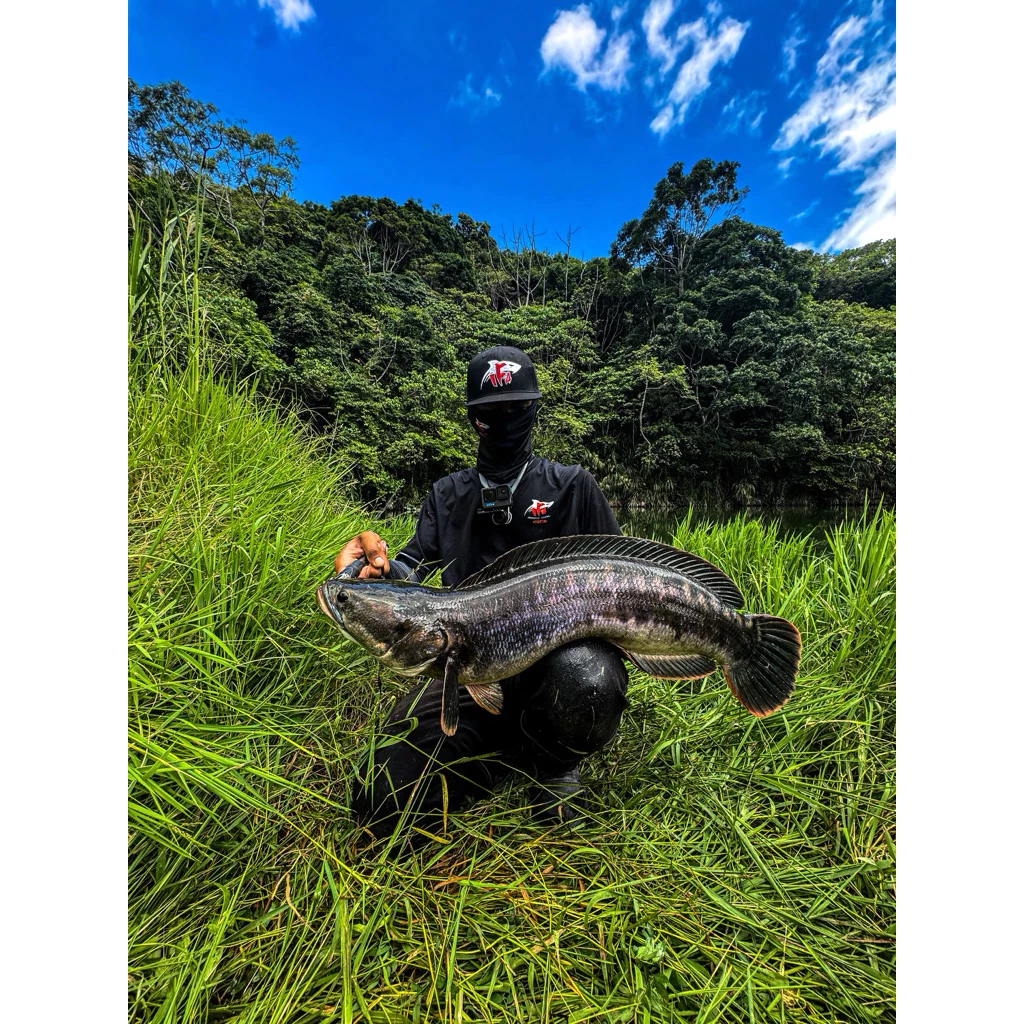 【LUREER】 ENYONG LURE 印尼手工製 巴雜 29克 <四鉤加強著鉤版> 曾文 魚虎 遠投 路亞 岸拋