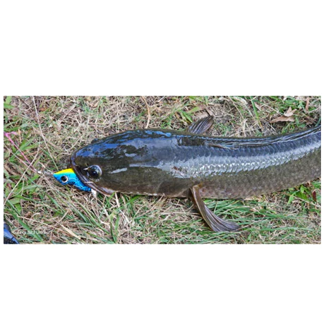【LUREER】 ENYONG LURE 印尼手工製 GORUT Series 10克 雷蛙 印尼 路亞 雷強