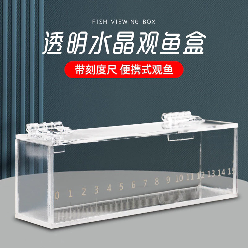 【LUREER】高透壓克力 觀察盒 觀魚盒 15公分 馬口 溪流 微物 路亞 小物 溪哥