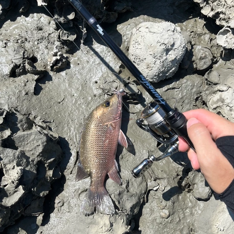 【LUREER】 酷影 KUYING 偃月 802M / 832MH 高階根魚竿 路亞竿 黑格 根魚 軟蟲 重根