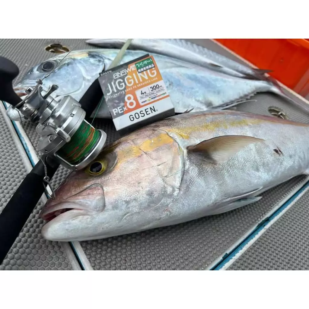 【LUREER】GOSEN ANSWER JIGGING PE×8 300m 五色線 <日本製> 岸拋 根魚 船拋 鐵板