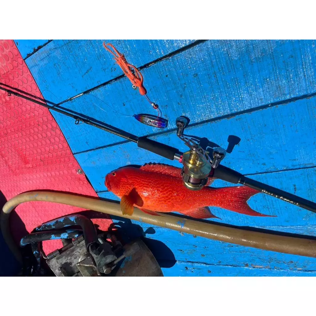 【LUREER】GOSEN ANSWER JIGGING PE×8 300m 五色線 <日本製> 岸拋 根魚 船拋 鐵板