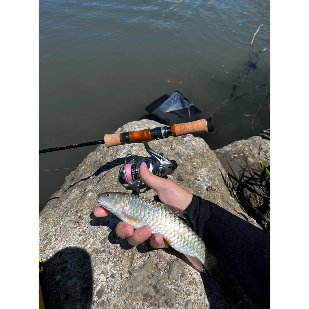 【LUREER】Major Craft Finetail 鱒魚竿 FTX <溪流旅竿> 路亞 溪流 UL 路亞竿