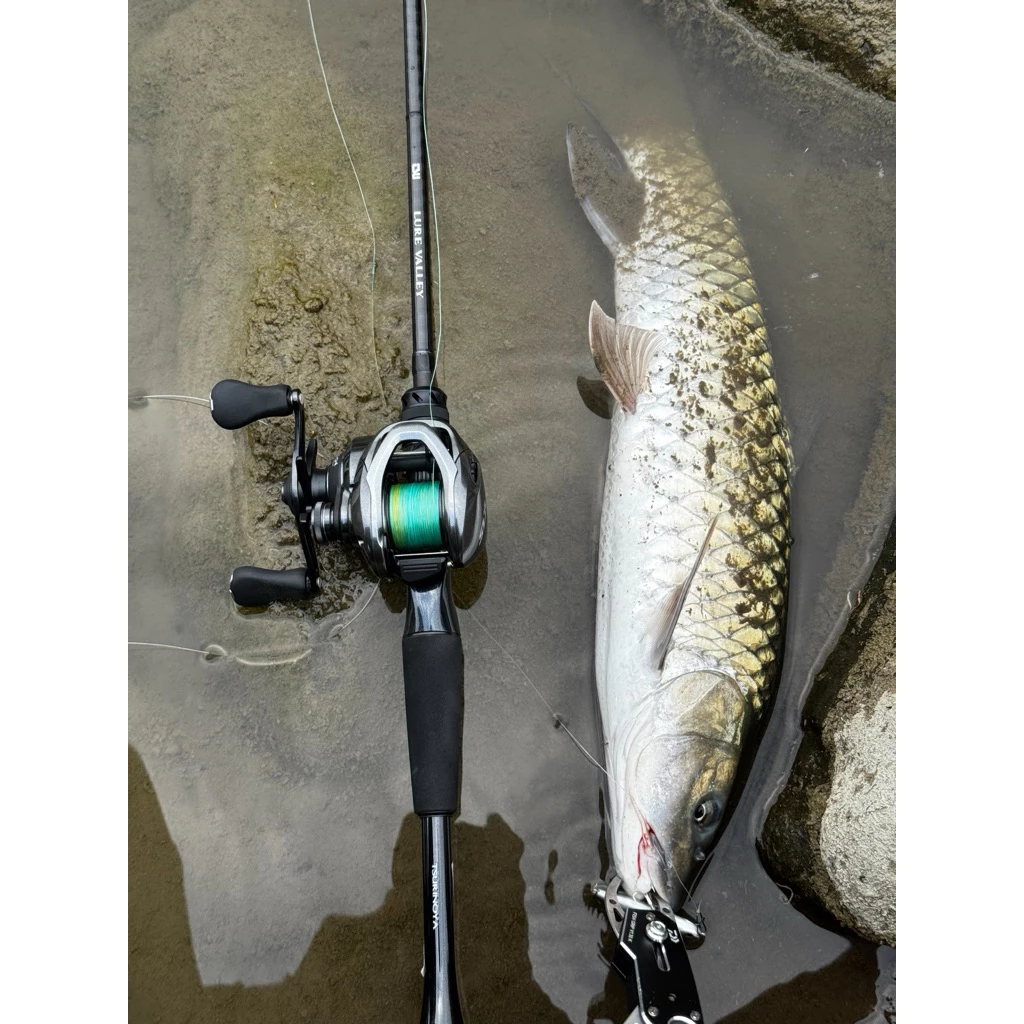 【LUREER】釣之屋 路亞河谷 LUREVALLEY <2026大改款> 泛用5節旅行竿 FUJI環 旅竿 路亞竿