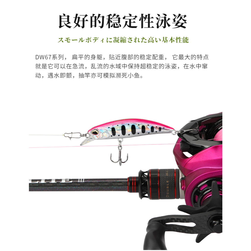 【LUREER】 釣之屋 DW67 60S 沉水米諾 6.1克 盒裝 精緻塗裝 SINKING MINNOW 米諾 捲仔