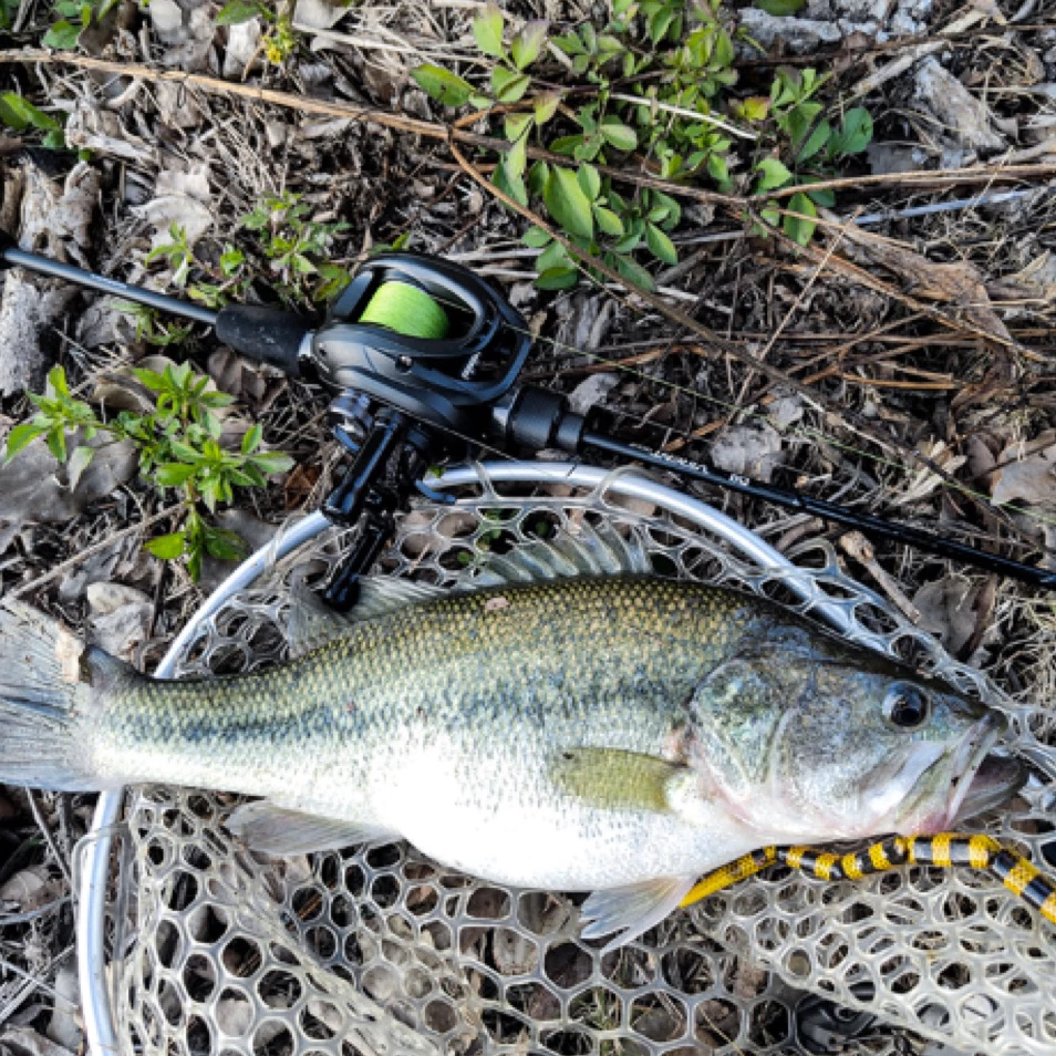 【LUREER】 釣之屋 TSURINOYA 維蘭特 VIRENT 微物路亞竿 碳纖維輕量化 路亞 溪流