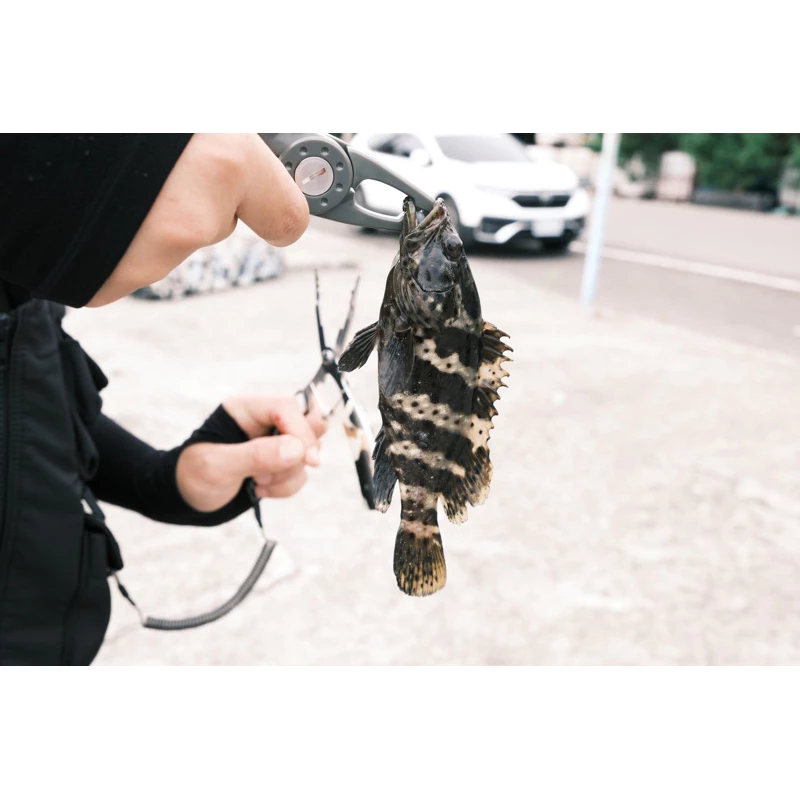 【LUREER】 迷你控魚器 魚夾 鋸齒設計 路亞 微物 控魚器