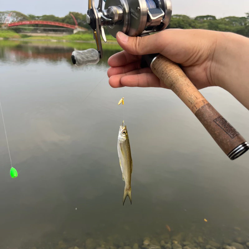 【LUREER】路亞助投器 !滿5個贈送綁線鐵環!多克數挑選 浮水 沉水 微物 毛鉤 亮片 助投器