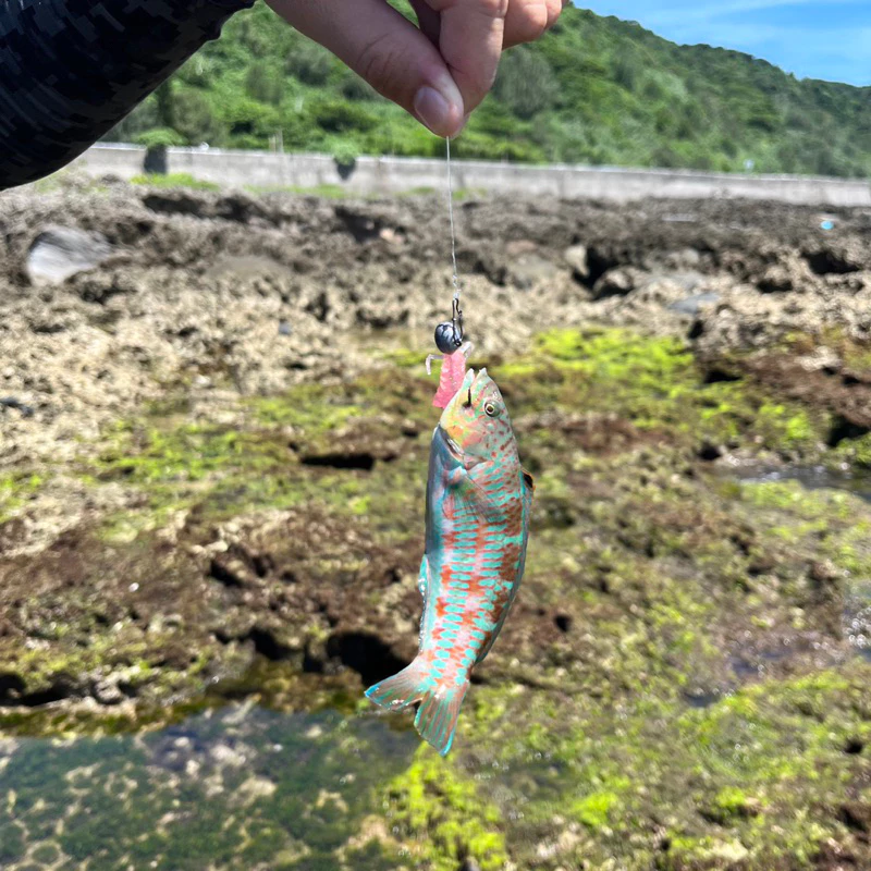 【LUREER】ROVORO 蛋蛋根釣鉤 6入 細骨/3X粗骨 鉛頭鉤 小餌專用 微物 軟蟲 蛋蛋鉤 路亞 根魚鉤 根釣