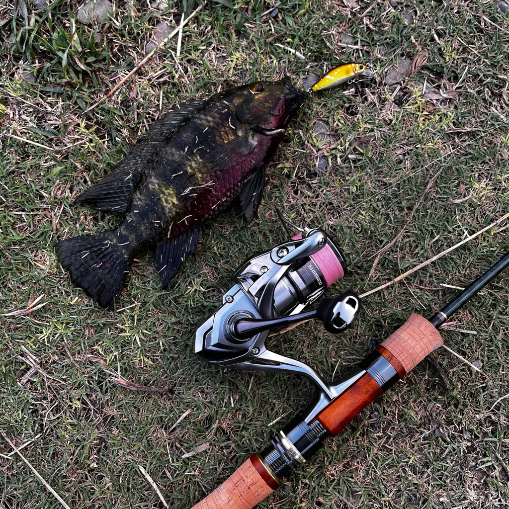 【LUREER】Major Craft Finetail 鱒魚竿 FTX <溪流旅竿> 路亞 溪流 UL 路亞竿