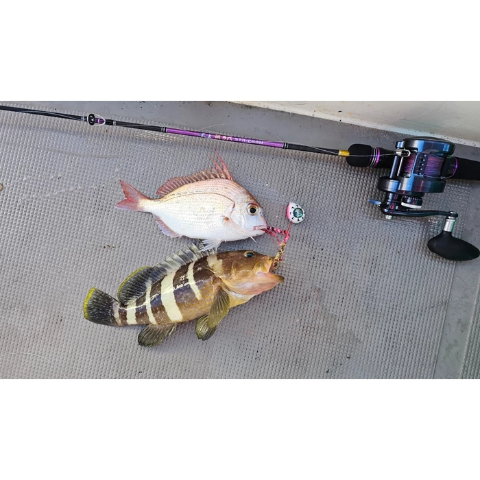 【LUREER】 SAME 莎美 武士鯛飄帶 - 直領帶、雙捲曲、大捲曲 <飄帶綜合賣場> 游動丸