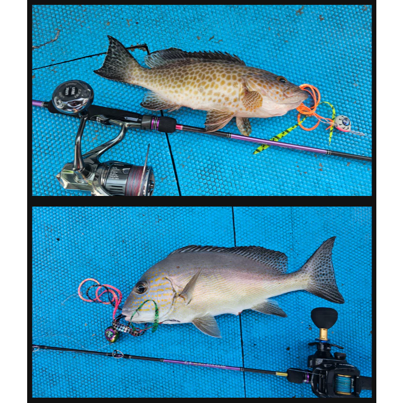 【LUREER】 SAME 莎美 武士鯛魔幻鉤組 2組裝 <濃厚蝦味添加> 游動丸 船釣