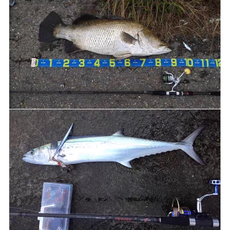 【LUREER】 酷影 KUYING 魚鷹 OSPREY 海鱸竿 1003/903 MH 免責 岸拋竿 路亞 鐵板 岸拋