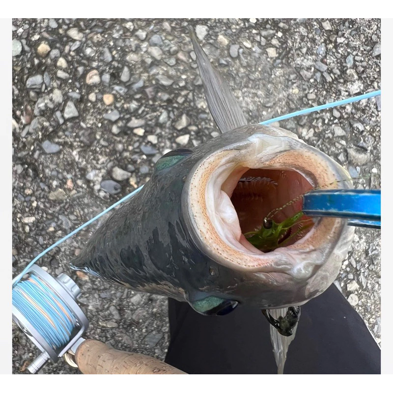【LUREER】 高擬真青苔毛鉤 4入 「特價」自然飄逸 吳郭魚 草魚 鯉魚 馬口 溪流 微物 毛鉤 飛釣