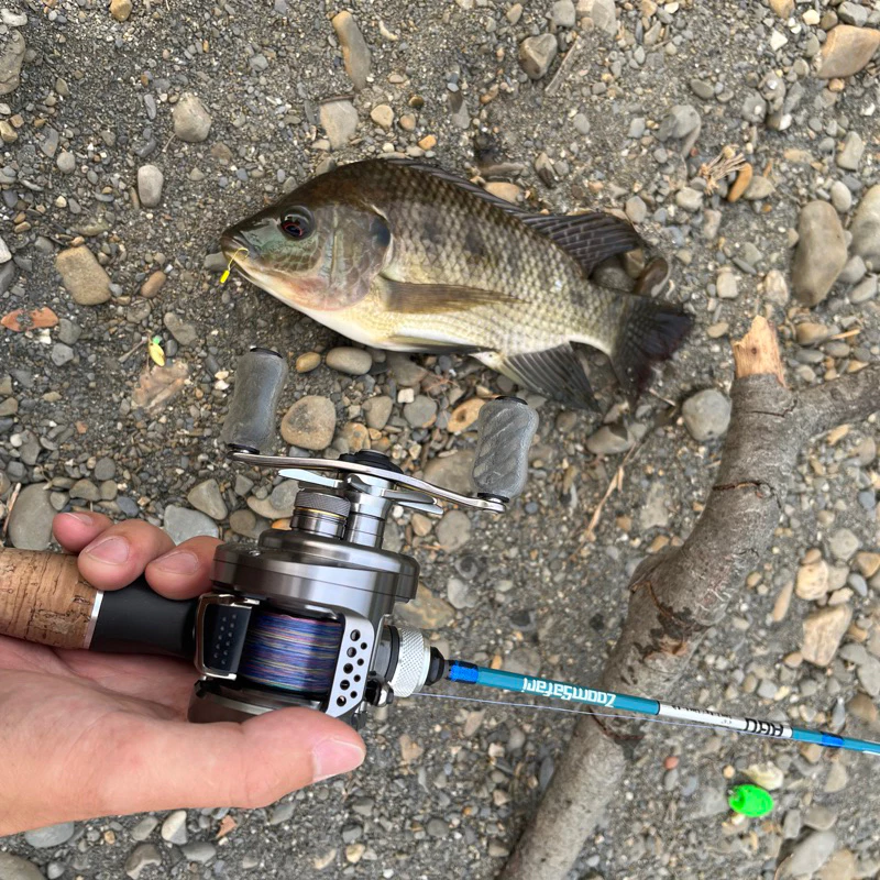 【LUREER】路亞助投器 !滿5個贈送綁線鐵環!多克數挑選 浮水 沉水 微物 毛鉤 亮片 助投器