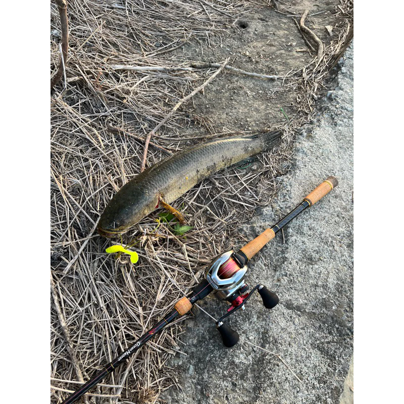 【LUREER】超大T尾 2入 12克/22克 筏釣必備 打障礙 魚虎 泰國鱧 雷強 曲柄鉤 飛扁 T尾 軟蟲
