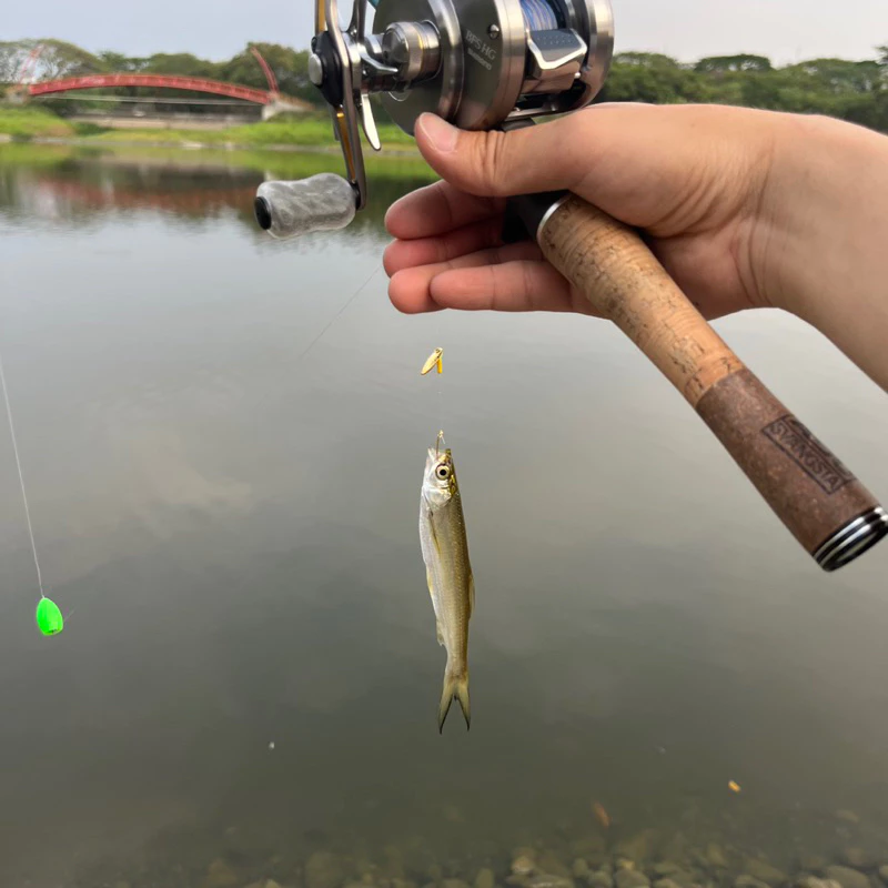 【LUREER】瓜子亮片 免綁釣組 5入 必中 微物 溪釣 馬口 吳郭魚 溪哥 路亞 亮片 助投器 亮片 瓜子