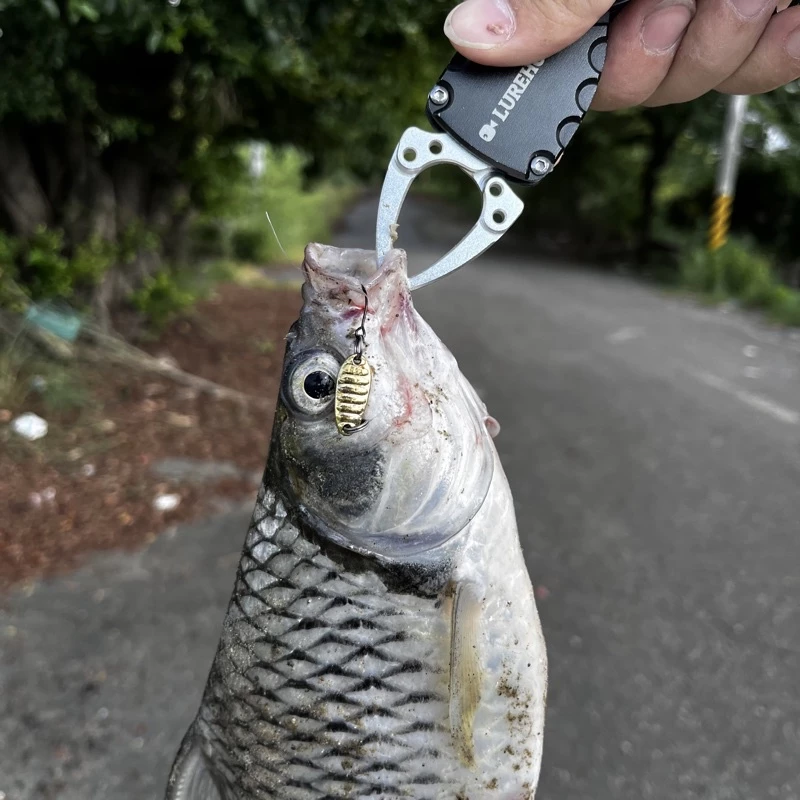【LUREER】平振亮片 實測超好用 微物 亮片 spoon 馬口 溪哥 根魚 卷仔 溪流 路亞