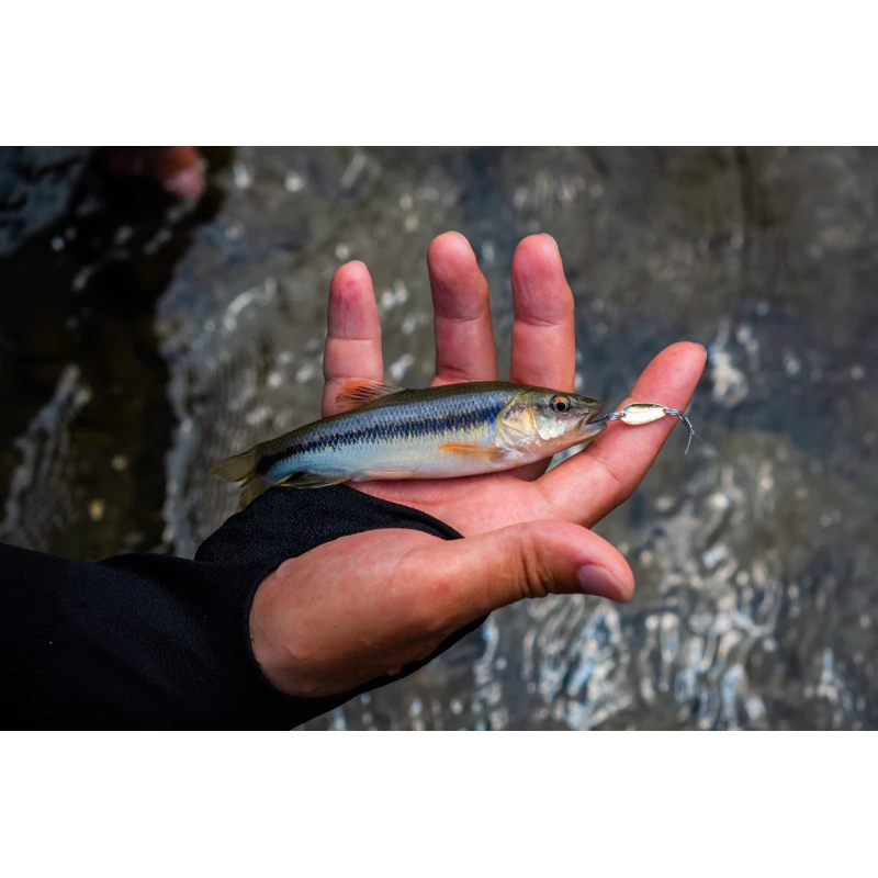 【LUREER】溪流亮片 平拖即中魚 0.8克-5克 「特價」新手必備 路亞 spoon 微物 馬口 溪哥 亮片 入門