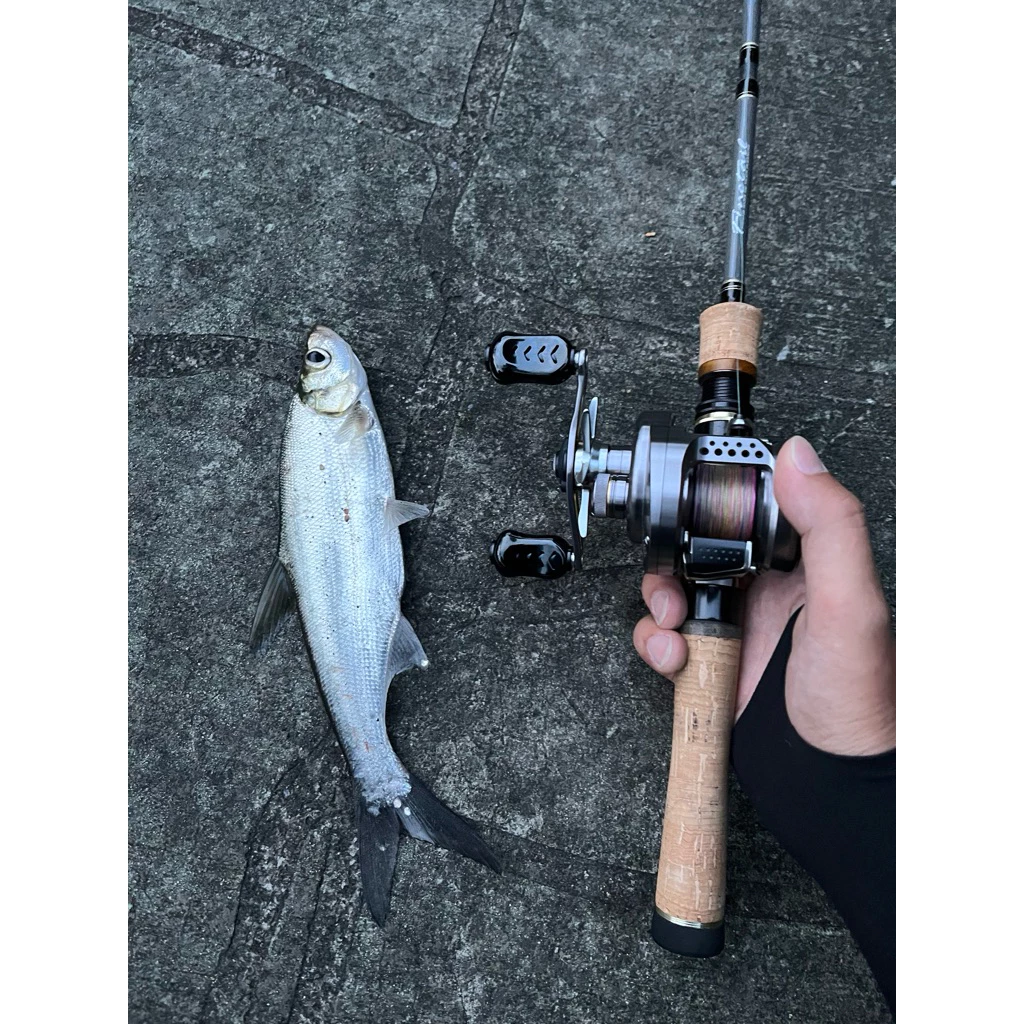 【LUREER】Major Craft Finetail 鱒魚竿 FTX <溪流旅竿> 路亞 溪流 UL 路亞竿