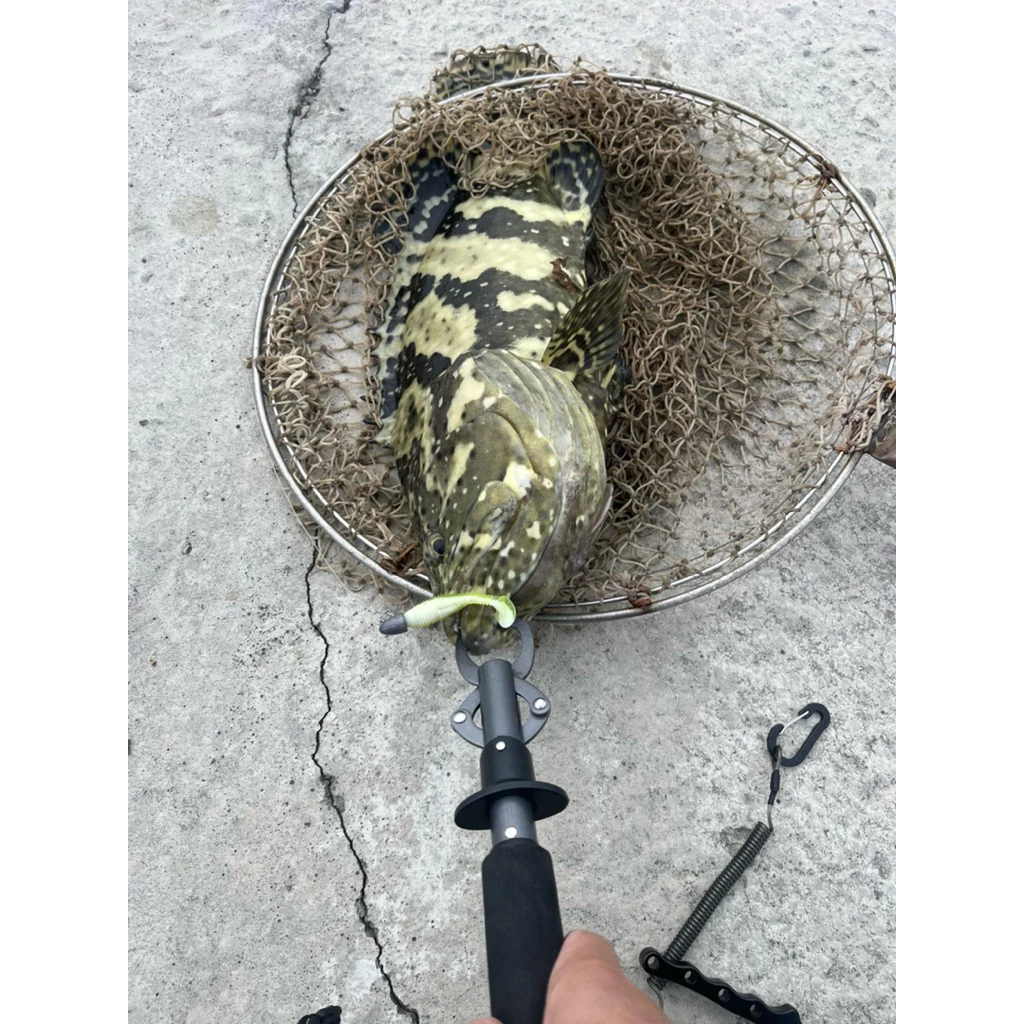 【LUREER】 PRO STYLE 50M 貝克力PRO STYLE100% 碳纖前導線 子線 碳纖線 路亞