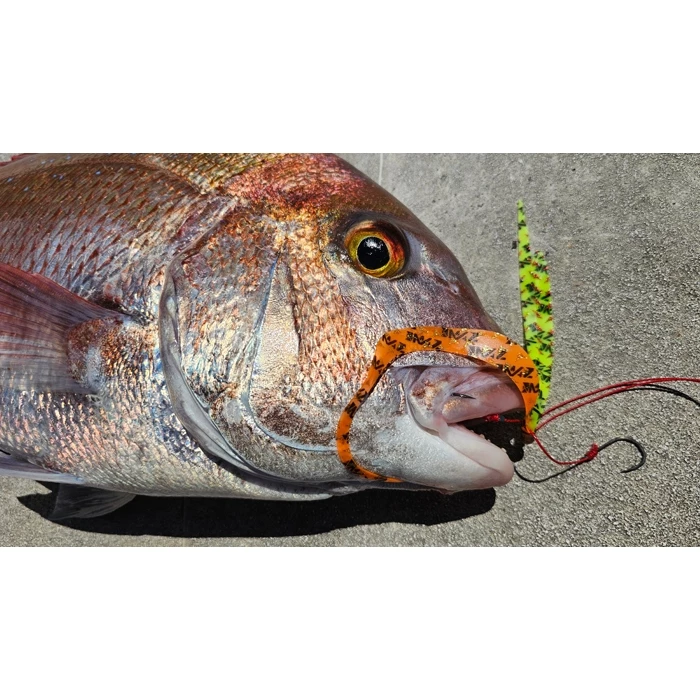 【LUREER】 SAME 莎美 武士鯛飄帶 - 直領帶、雙捲曲、大捲曲 <飄帶綜合賣場> 游動丸