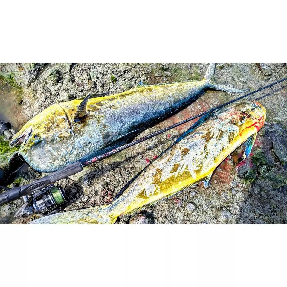 【LUREER】 酷影 KUYING 海盜 2代 海鱸竿 <T1100G高階碳布> 海鱸竿 岸拋 鐵板竿 路亞竿 岸拋竿