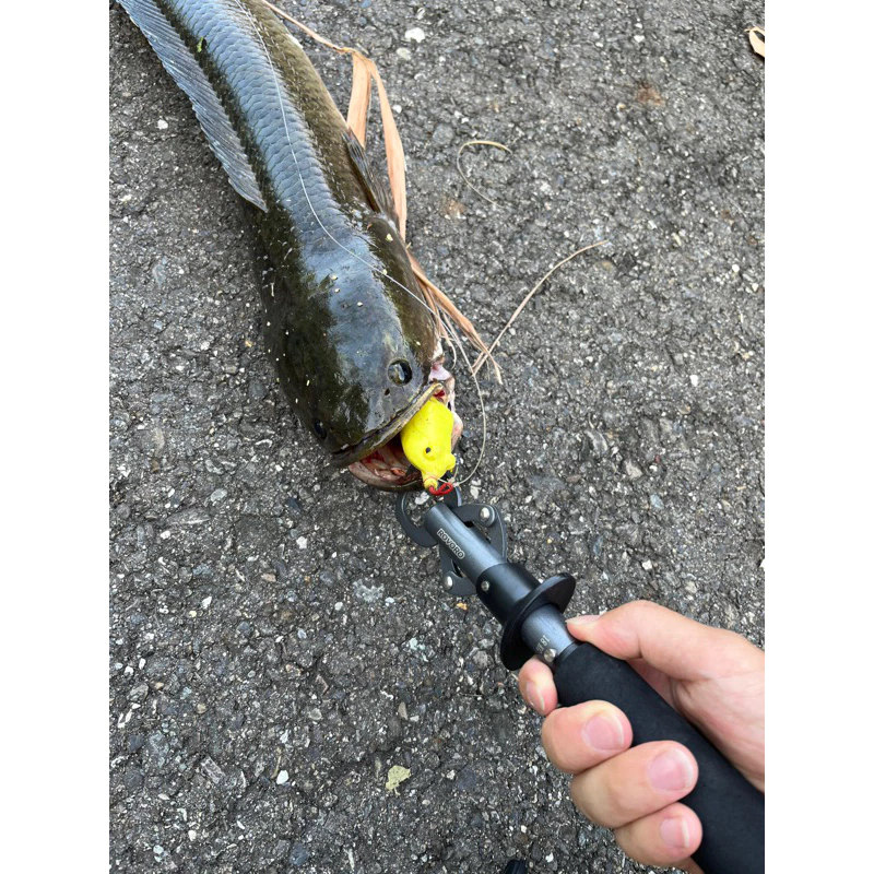 【LUREER】 ROVORO 大物控魚器 帶秤18KG 不鏽鋼 特氟龍塗層 防鏽 路亞 控魚器 魚夾 岸拋