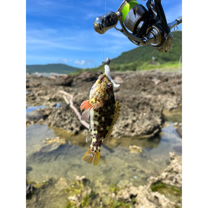 【LUREER】微物根魚 小T尾 軟蟲 3.5公分 20入 微物 根釣 溪流 鉛頭鉤 路亞 軟蟲 珍珠石斑 根魚