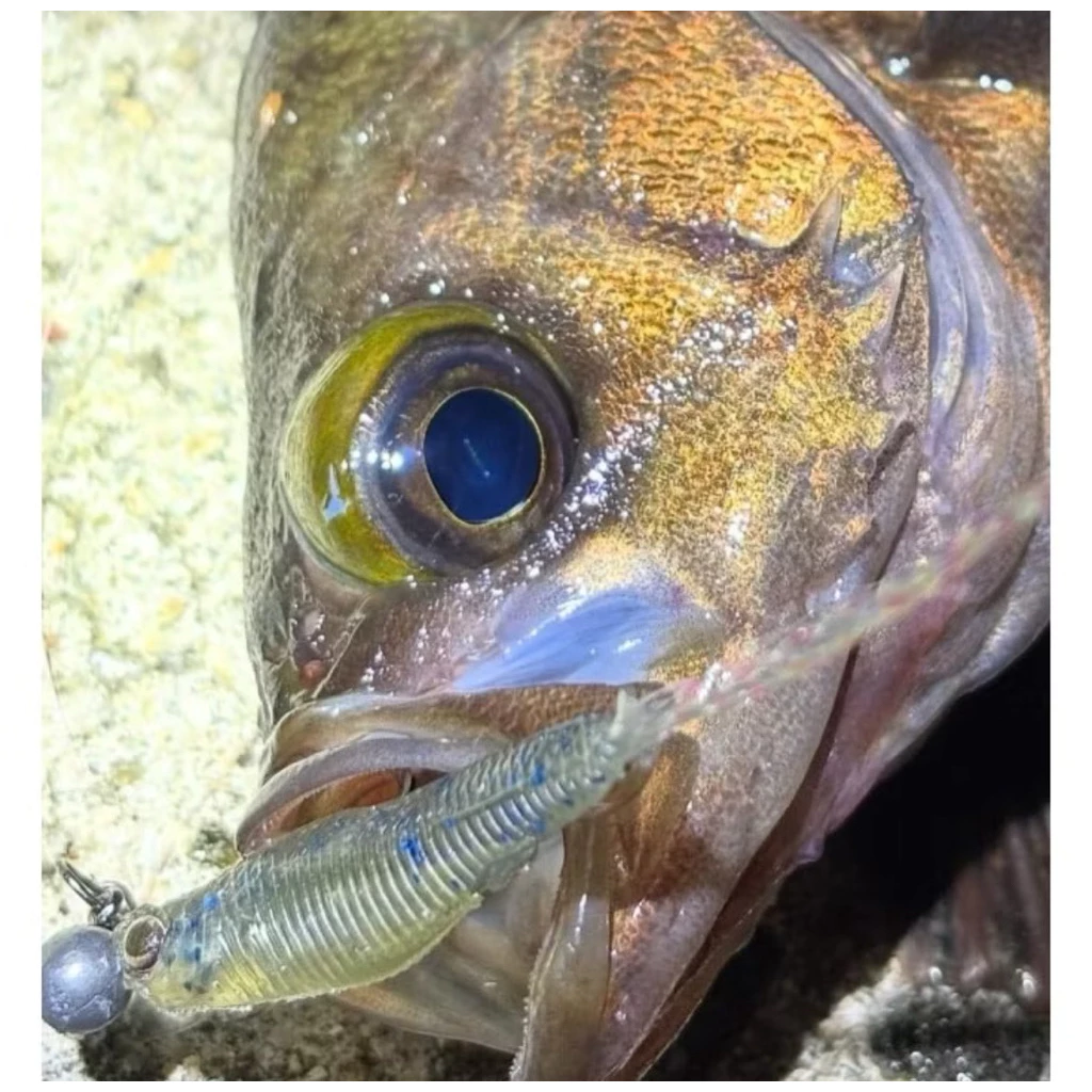 【LUREER】LITTLE JACK IGNITED TAIL FUSION 小魚 1.5’’ 軟蟲 <金蔥絲>