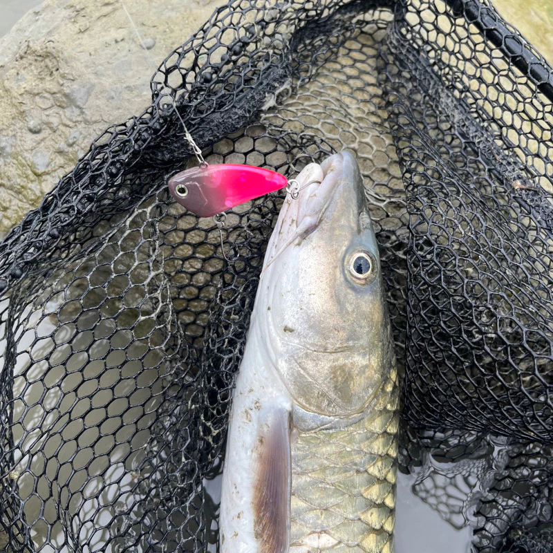 【LUREER】 日系 全泳層顫游VIB 溪流必備！！ 路亞 顫泳 VIB 捲仔 微物 馬口 釣魚 塑膠
