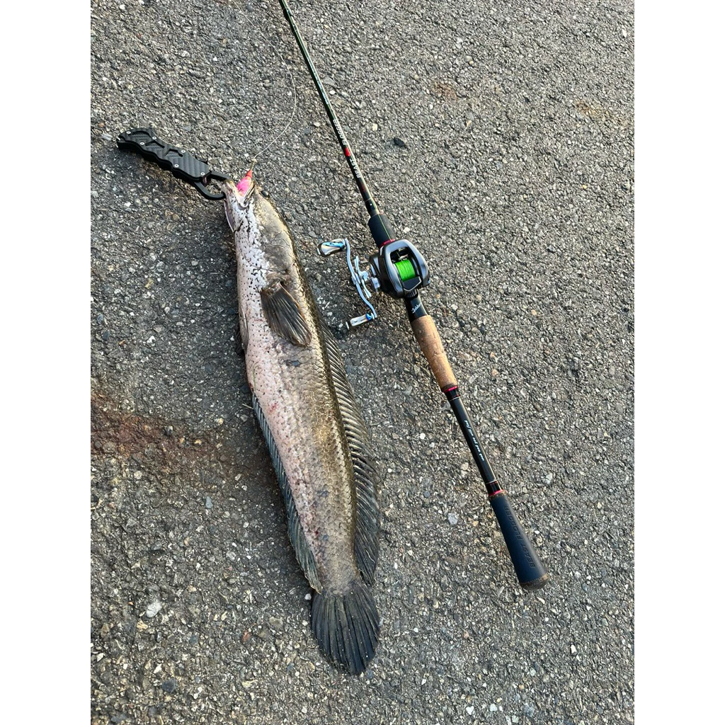 【LUREER】 PRO STYLE 50M 貝克力PRO STYLE100% 碳纖前導線 子線 碳纖線 路亞