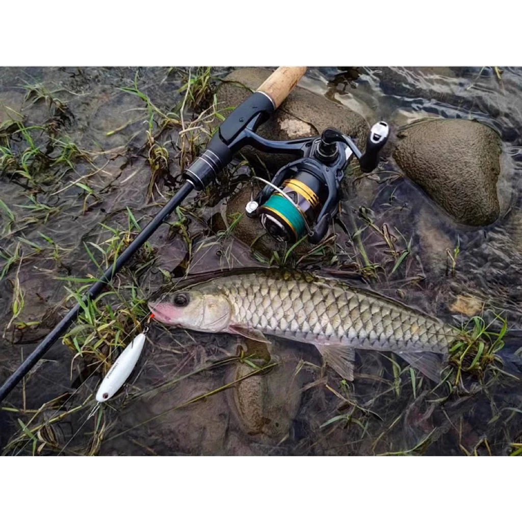 【LUREER】 釣之屋 DN 微物路亞竿 《多規格》 溪流竿 路亞 微物 小物 馬口 捲仔 溪哥