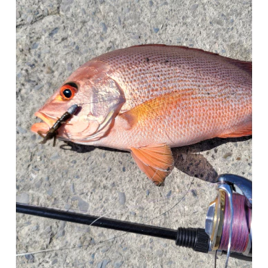 【LUREER】 MR.BEE蜜蜂先生 竹節蟲軟蟲 2.5