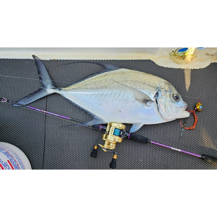 【LUREER】 SAME 莎美 武士鯛飄帶 - 直領帶、雙捲曲、大捲曲 <飄帶綜合賣場> 游動丸