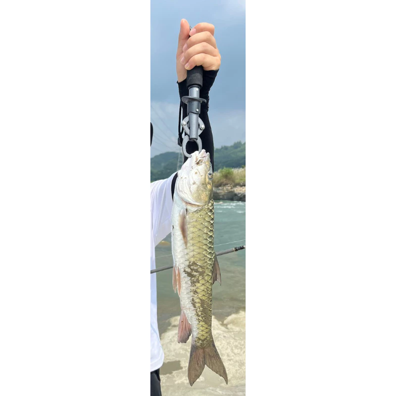 【LUREER】 ROVORO 大物控魚器 帶秤18KG 不鏽鋼 特氟龍塗層 防鏽 路亞 控魚器 魚夾 岸拋